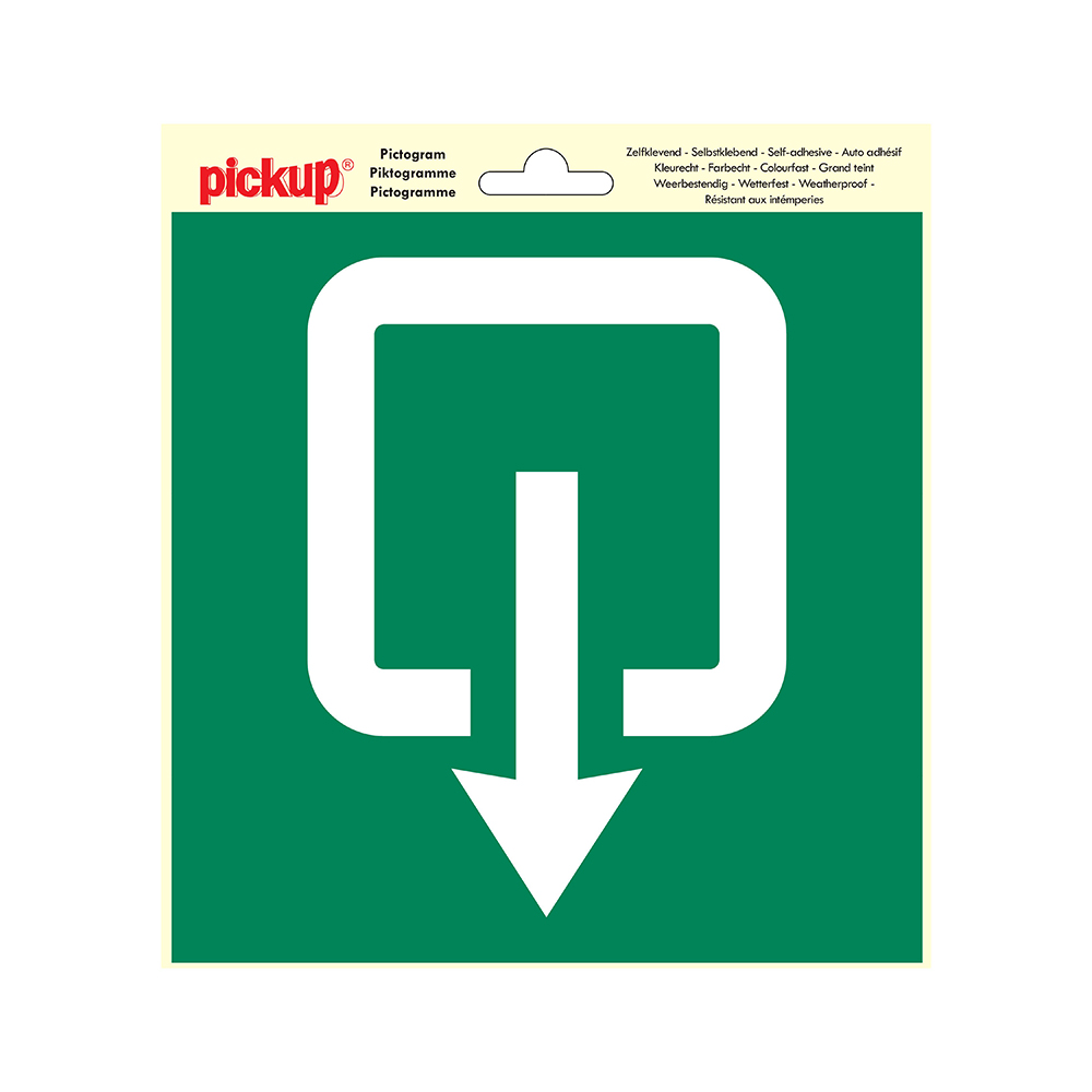 Pickup Pictogram 20x20 cm - Normale uitgang